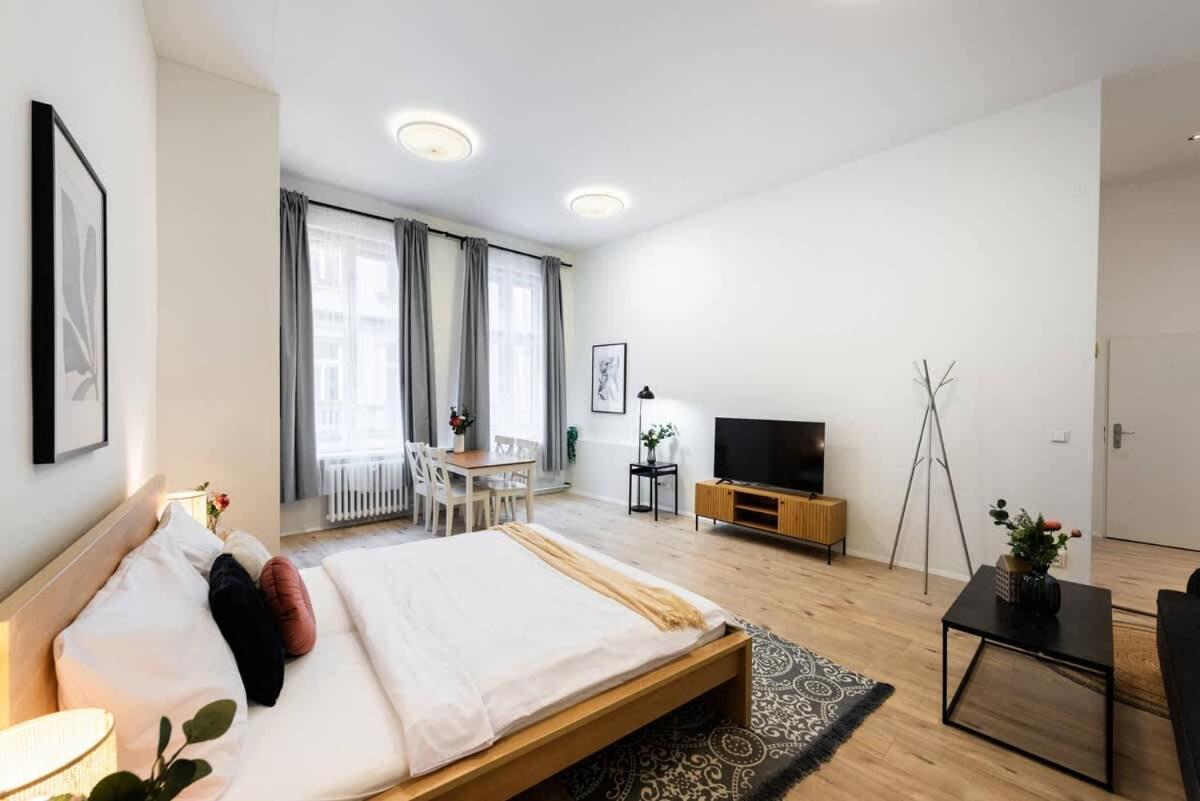 Elegant Spacious Old Town Prague