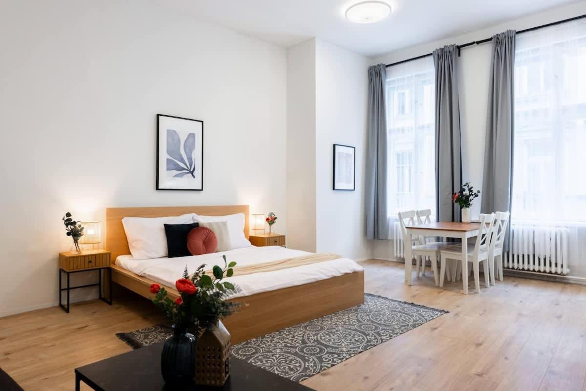 Elegant Spacious Old Town Apartment Prague