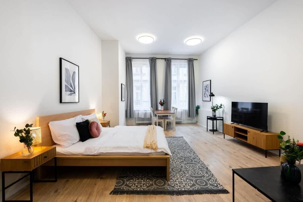 Elegant Spacious Old Town * Prague